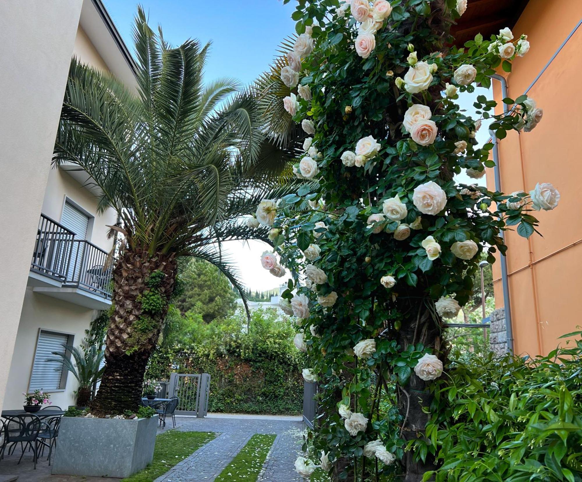 Aparthotel Phoenix 2*